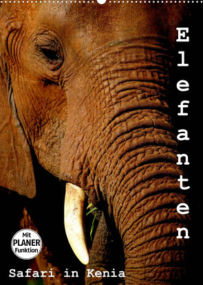 Elefanten. Safari in Kenia (Wandkalender 2023 DIN A2 hoch) von Michel / CH,  Susan