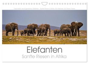 Elefanten – Sanfte Riesen in Afrika (Wandkalender 2024 DIN A4 quer), CALVENDO Monatskalender von Tewes,  Rainer