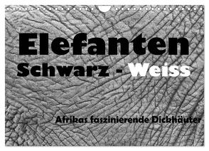 Elefanten Schwarz – Weiss (Wandkalender 2024 DIN A4 quer), CALVENDO Monatskalender von Stern,  Angelika