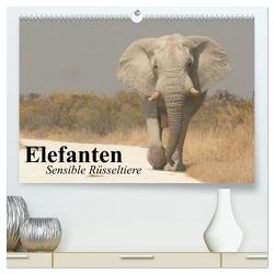 Elefanten. Sensible Rüsseltiere (hochwertiger Premium Wandkalender 2024 DIN A2 quer), Kunstdruck in Hochglanz von Stanzer,  Elisabeth
