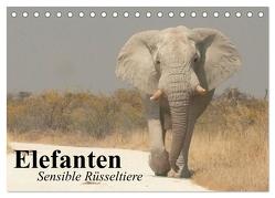 Elefanten. Sensible Rüsseltiere (Tischkalender 2024 DIN A5 quer), CALVENDO Monatskalender von Stanzer,  Elisabeth