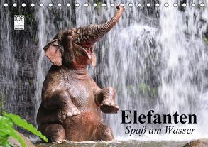 Elefanten. Spaß am Wasser (Tischkalender 2019 DIN A5 quer) von Stanzer,  Elisabeth