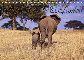 Elefanten (Tischkalender 2023 DIN A5 quer) von Voss,  Michael