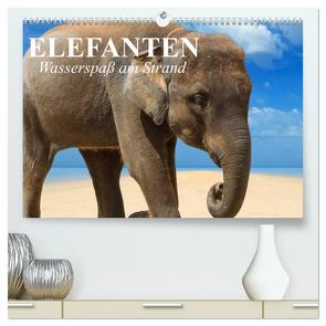 Elefanten – Wasserspaß am Strand (hochwertiger Premium Wandkalender 2024 DIN A2 quer), Kunstdruck in Hochglanz von Stanzer,  Elisabeth