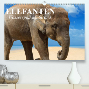 Elefanten – Wasserspaß am Strand (Premium, hochwertiger DIN A2 Wandkalender 2023, Kunstdruck in Hochglanz) von Stanzer,  Elisabeth