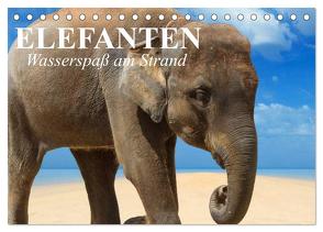 Elefanten – Wasserspaß am Strand (Tischkalender 2024 DIN A5 quer), CALVENDO Monatskalender von Stanzer,  Elisabeth