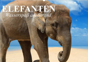 Elefanten – Wasserspaß am Strand (Wandkalender 2023 DIN A2 quer) von Stanzer,  Elisabeth