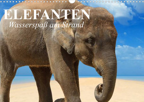 Elefanten – Wasserspaß am Strand (Wandkalender 2023 DIN A3 quer) von Stanzer,  Elisabeth