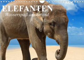 Elefanten – Wasserspaß am Strand (Wandkalender 2023 DIN A4 quer) von Stanzer,  Elisabeth
