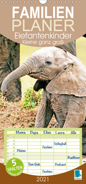 Elefantenkinder: Kleine ganz groß (Wandkalender 2021 , 21 cm x 45 cm, hoch) von CALVENDO