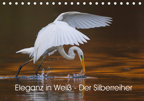 Eleganz in Weiß – Der Silberreiher (Tischkalender 2021 DIN A5 quer) von Martin,  Wilfried