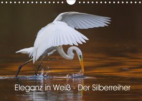 Eleganz in Weiß – Der Silberreiher (Wandkalender 2019 DIN A4 quer) von Martin,  Wilfried