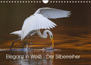 Eleganz in Weiß – Der Silberreiher (Wandkalender 2022 DIN A4 quer) von Martin,  Wilfried