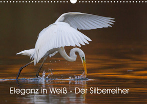 Eleganz in Weiß – Der Silberreiher (Wandkalender 2023 DIN A3 quer) von Martin,  Wilfried