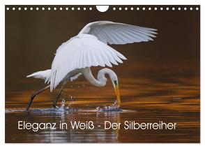 Eleganz in Weiß – Der Silberreiher (Wandkalender 2024 DIN A4 quer), CALVENDO Monatskalender von Martin,  Wilfried
