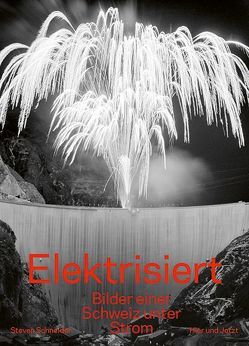 Elektrisiert von Schneider,  Steven