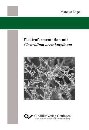 Elektrofermentation mit Clostridium acetobutylicum von Engel,  Mareike