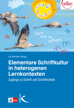 Elementare Schriftkultur in heterogenen Lernkontexten von Schüler,  Lis