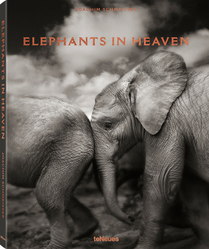 Elephants in Heaven von Schmeisser,  Joachim