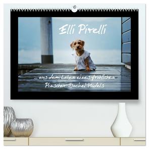 Elli Pirelli… aus dem Leben eines fröhlichen Pinscher-Dackel-Mädels (hochwertiger Premium Wandkalender 2024 DIN A2 quer), Kunstdruck in Hochglanz von Köntopp,  Kathrin