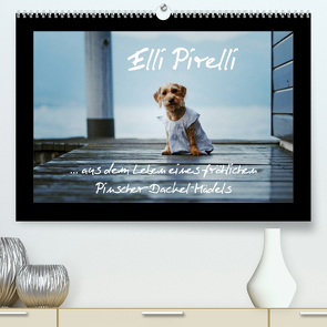 Elli Pirelli… aus dem Leben eines fröhlichen Pinscher-Dackel-Mädels (Premium, hochwertiger DIN A2 Wandkalender 2023, Kunstdruck in Hochglanz) von Köntopp,  Kathrin