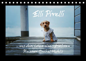 Elli Pirelli… aus dem Leben eines fröhlichen Pinscher-Dackel-Mädels (Tischkalender 2023 DIN A5 quer) von Köntopp,  Kathrin