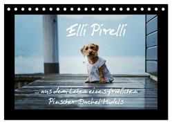 Elli Pirelli… aus dem Leben eines fröhlichen Pinscher-Dackel-Mädels (Tischkalender 2024 DIN A5 quer), CALVENDO Monatskalender von Köntopp,  Kathrin