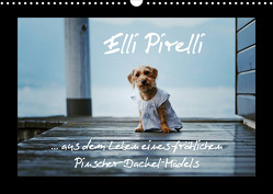 Elli Pirelli… aus dem Leben eines fröhlichen Pinscher-Dackel-Mädels (Wandkalender 2023 DIN A3 quer) von Köntopp,  Kathrin
