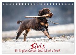 Elvis ein Engl. Cocker Spaniel wird Groß (Tischkalender 2024 DIN A5 quer), CALVENDO Monatskalender von Wobith Photography - FotosVonMaja,  Sabrina