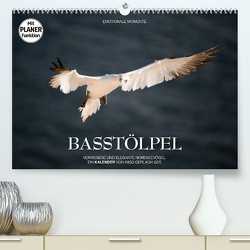 Emotionale Momente: Basstölpel (Premium, hochwertiger DIN A2 Wandkalender 2023, Kunstdruck in Hochglanz) von Gerlach GDT,  Ingo