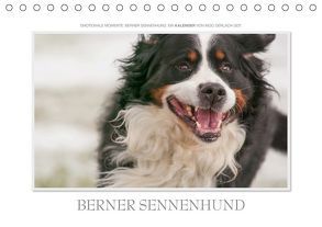 Emotionale Momente: Berner Sennenhund. (Tischkalender 2019 DIN A5 quer) von Gerlach GDT,  Ingo