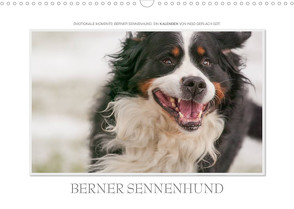 Emotionale Momente: Berner Sennenhund. (Wandkalender 2023 DIN A3 quer) von Gerlach GDT,  Ingo
