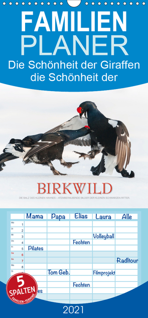 Emotionale Momente: Birkwild – Familienplaner hoch (Wandkalender 2021 , 21 cm x 45 cm, hoch) von Gerlach GDT,  Ingo