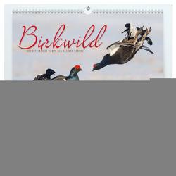 Emotionale Momente: Birkwild (hochwertiger Premium Wandkalender 2024 DIN A2 quer), Kunstdruck in Hochglanz von Gerlach,  Ingo