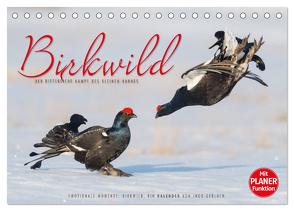 Emotionale Momente: Birkwild (Tischkalender 2024 DIN A5 quer), CALVENDO Monatskalender von Gerlach,  Ingo