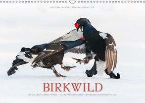 Emotionale Momente: Birkwild (Wandkalender 2019 DIN A3 quer) von Gerlach GDT,  Ingo