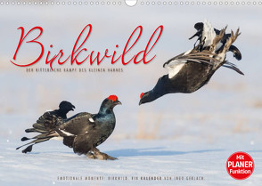 Emotionale Momente: Birkwild (Wandkalender 2022 DIN A3 quer) von Gerlach,  Ingo