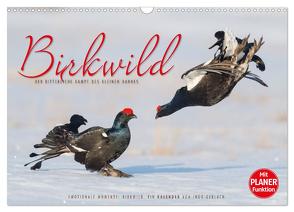 Emotionale Momente: Birkwild (Wandkalender 2024 DIN A3 quer), CALVENDO Monatskalender von Gerlach,  Ingo