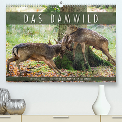 Emotionale Momente: Das Damwild. (Premium, hochwertiger DIN A2 Wandkalender 2023, Kunstdruck in Hochglanz) von Gerlach,  Ingo