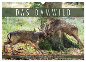 Emotionale Momente: Das Damwild. (Wandkalender 2024 DIN A3 quer), CALVENDO Monatskalender von Gerlach,  Ingo