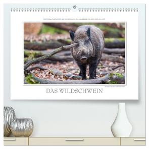 Emotionale Momente: Das Wildschwein. / CH-Version (hochwertiger Premium Wandkalender 2024 DIN A2 quer), Kunstdruck in Hochglanz von Gerlach GDT,  Ingo