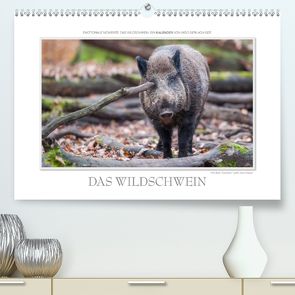 Emotionale Momente: Das Wildschwein. / CH-Version (Premium, hochwertiger DIN A2 Wandkalender 2021, Kunstdruck in Hochglanz) von Gerlach GDT,  Ingo