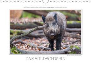 Emotionale Momente: Das Wildschwein. / CH-Version (Wandkalender 2019 DIN A4 quer) von Gerlach GDT,  Ingo