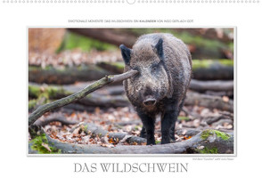 Emotionale Momente: Das Wildschwein. / CH-Version (Wandkalender 2023 DIN A2 quer) von Gerlach GDT,  Ingo