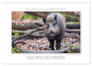 Emotionale Momente: Das Wildschwein. / CH-Version (Wandkalender 2024 DIN A2 quer), CALVENDO Monatskalender von Gerlach GDT,  Ingo