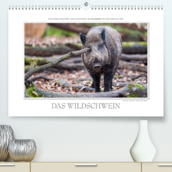 Emotionale Momente: Das Wildschwein. (Premium, hochwertiger DIN A2 Wandkalender 2023, Kunstdruck in Hochglanz) von Gerlach GDT,  Ingo