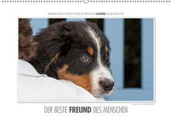 Emotionale Momente: Der beste Freund des Menschen. (Wandkalender 2019 DIN A2 quer) von Gerlach,  Ingo