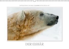 Emotionale Momente: Der Eisbär. (Wandkalender 2019 DIN A3 quer) von Gerlach GDT,  Ingo