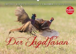 Emotionale Momente: Der Jagdfasan. (Wandkalender 2019 DIN A2 quer) von Gerlach,  Ingo