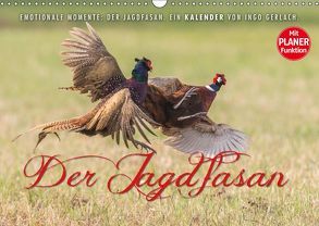 Emotionale Momente: Der Jagdfasan. (Wandkalender 2019 DIN A3 quer) von Gerlach,  Ingo